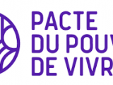 logo PDV